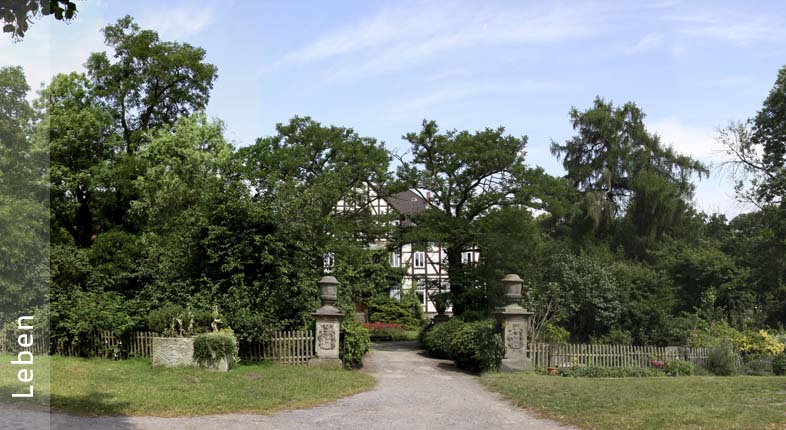 Leben