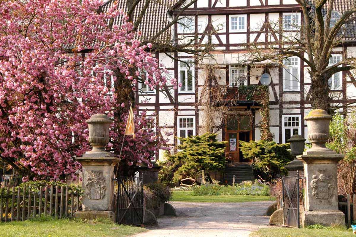 Fachwerkseite Herrenhaus mit Mandelblüte